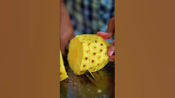 Gamiya Saoce 