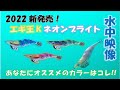 【2022新発売】エギ王Kネオンブライトを水中映像で徹底検証！あなたにオススメのカラーはコレ！