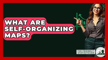 What Are Self-Organizing Maps? - The Friendly Statistician