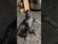 Bandi Showa MECHA Godzilla