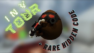 Rare Hidden Code + Inv Tour (2022)