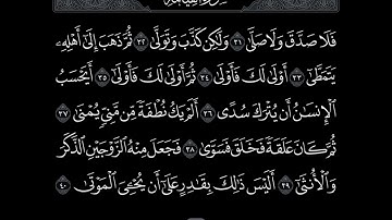 سورة القيامة عبدالعزيز الفقيه