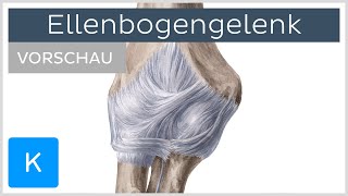 Ellenbogengelenk - Aufbau und Funktion (Vorschau) | Kenhub