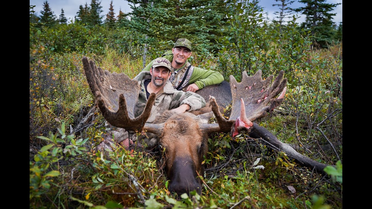 Alaska Moose Hunt 2020 YouTube