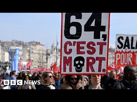 France pension reform strikes halt plane and train services - BBC News