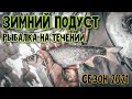Рыбалка на Подуста Зимой 2021... Как Перехитрить Этого Речного Красавца...(подводные кадры)