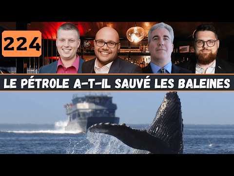 224 | Les baleines ont-elles été sauvées par le pétrole ? (avec Pierre Desrochers)
