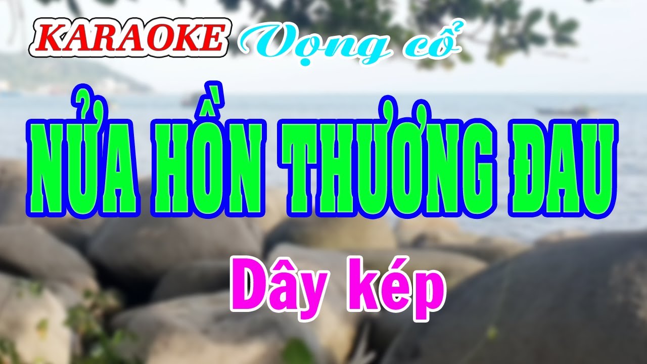 Karaoke _ Nửa Hồn Thương Đau _ Dây Kép