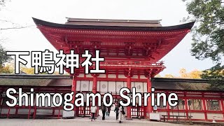 【4K】京都にある世界文化遺産の１つ、下鴨神社を散歩 Walking in Shimogamo Shrine, the world cultural heritage sites in Kyoto