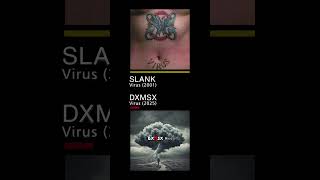 virus slank metal version hardrock   cover rock