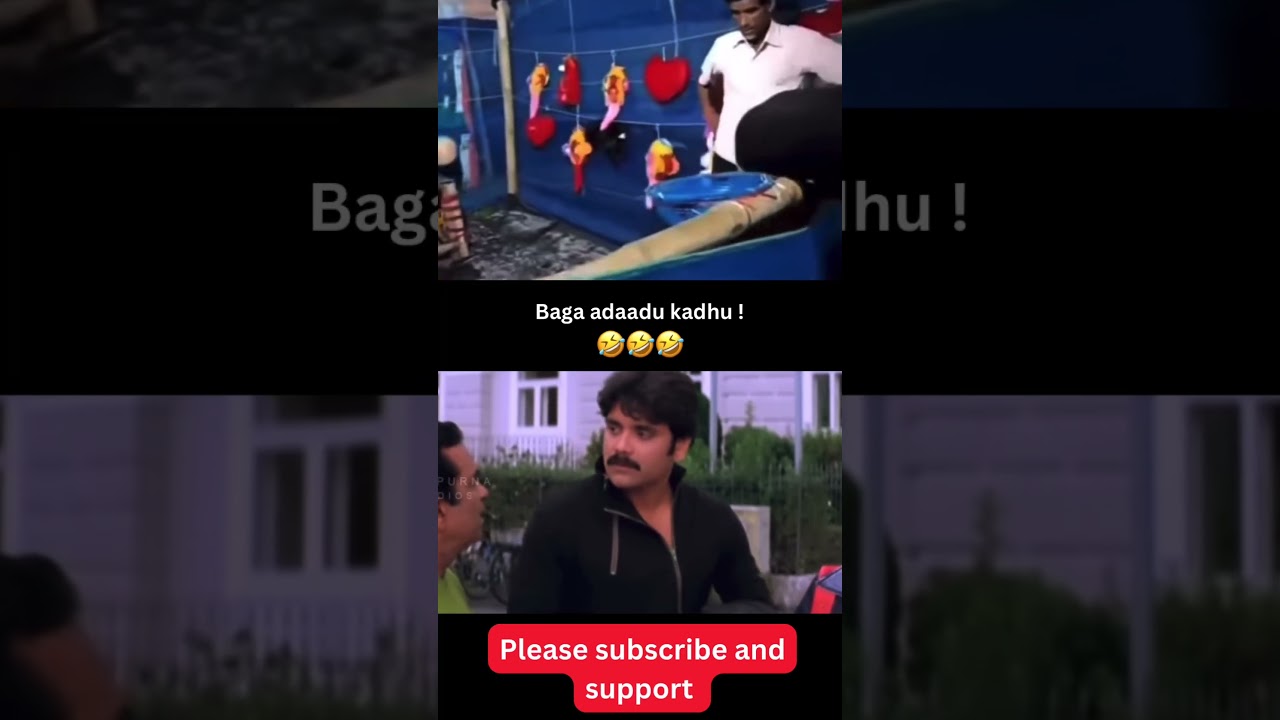 Смешные ситуации из реальной жизни, тролли и мемы 