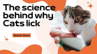 The Science Behind why Cats lick by Kitty Korner 168 views 1 month ago 2 minutes, 46 seconds