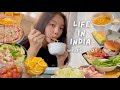  a day in my life  india what i eat cooking vlog