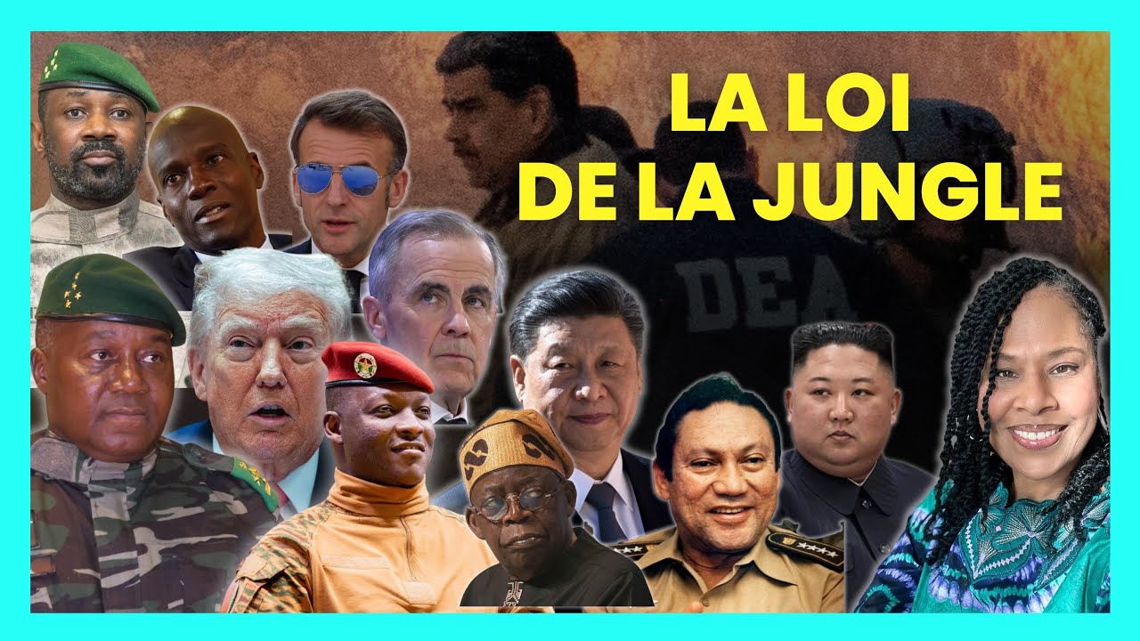 La loi de la jungle: comment survivre dans le nouvel ordre mondial 