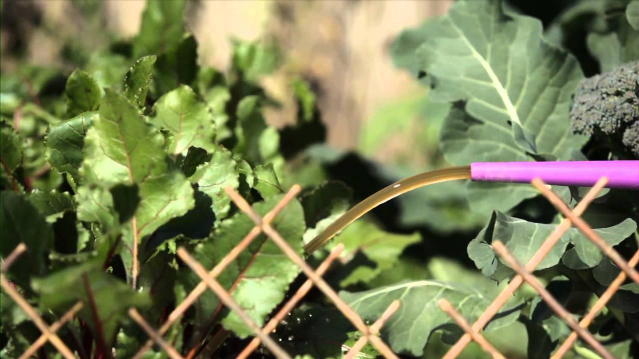 Bountea Garden Application