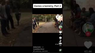Darázs A Kemény