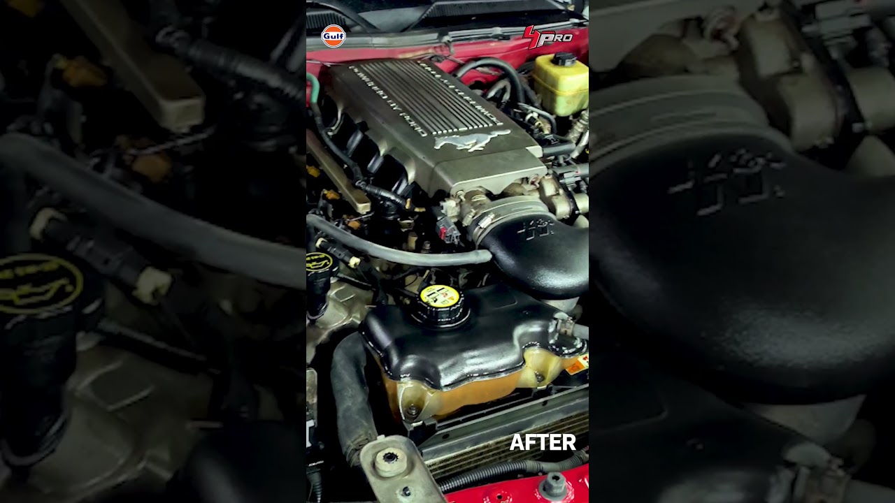 Mustang Engine Bay Chemical Wash  