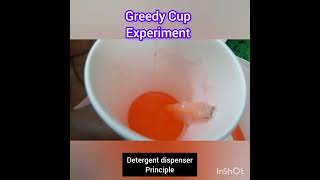 Greedy Cup Experiment Diy Greedy Cup With Straw And Partially Cup Pythagoras Cup