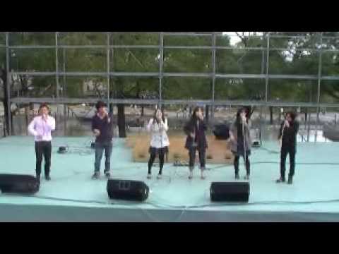 桜の時