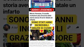 Play video: Addio Varenne ❤️