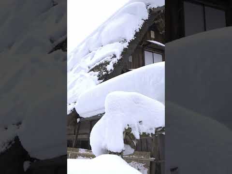 Winter and Snow