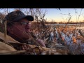 Duck Hunting in Dyer County, TN