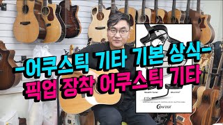 어쿠스틱 기타 기본 상식 - 픽업 장착 기타 소개