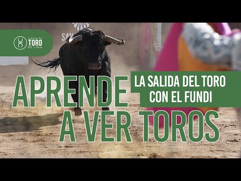 La salida del toro, con José Pedro Prados “El Fundi”