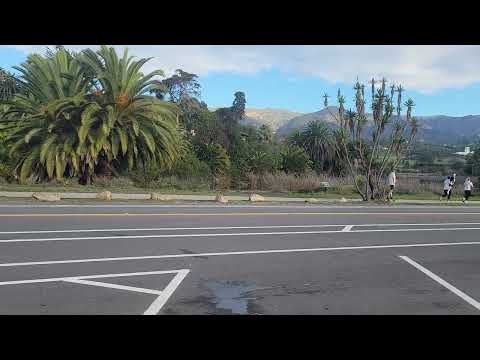 این دیوونها می دواند که به کجا برسند