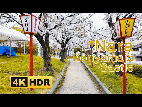 [4K HDR]奈良・史跡郡山城跡の桜散歩 2024