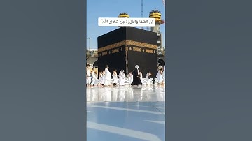 ان الصفا والمروةَ من شعائرِ الله||القارئ علي عبدالسلام اليوسف[حالات واتساب]