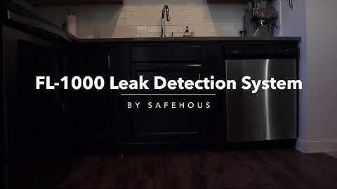 SafeHous FL-1000 Leak System Video