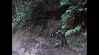 2012-06-17_10.15.32_00001.mp4