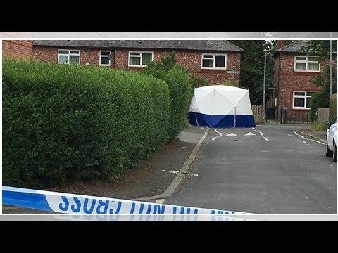 Murder investigation launched after man stabbed to death - latest ...