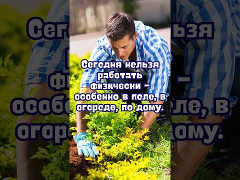 22 мая народные приметы. Приметы 22 мая.21 мая именины #народныеприметы