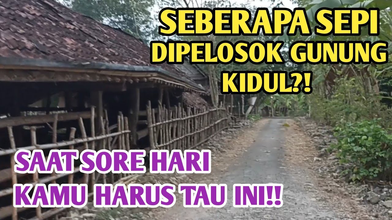 PELOSOK GUNUNG KIDUL/SAAT SORE HARI⁉️