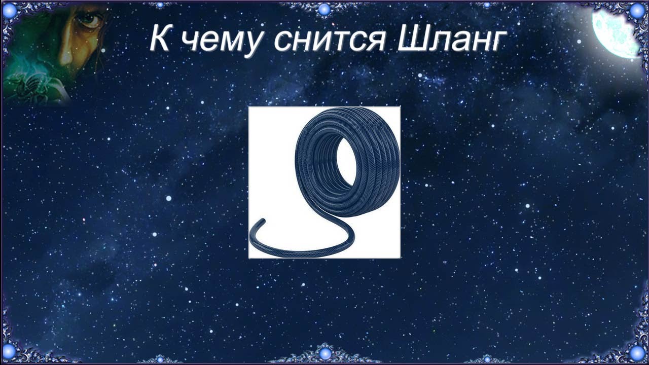 К чему снится Шланг (Сонник)