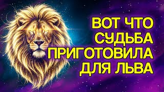 картинка: ЛЕВ: Сделайте Эти 7 Изменений, И Удача Повернётся К Вам