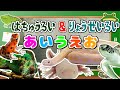 【はちゅうるい&りょうせいるい あいうえお】子供向け とかげ、わに、かめ、かえるなど 【フラッシュカード】