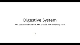 Digestive System (VETERINARY ASSISTANT EDUCATION)