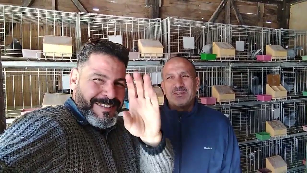 فرجه من غرفة أستوكات أزاجل وجماله سلسله رقم ١ العلم سيد عبدالعاطي#احمد_ماكو_والحمام احلى حاجه في الد