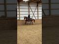 Confidence knock #horse #horseriding #equestrian #riding #jumping #confidence