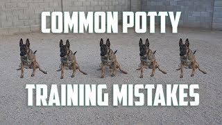 COMMON POTTY TRAINING MISTAKES YOU'RE MAKING! [4K]