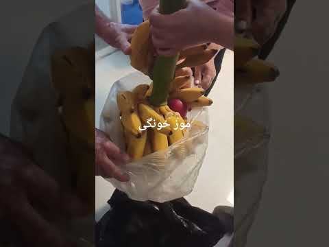 موز محلی مازندران بسیار خوشمزه و لذیذ