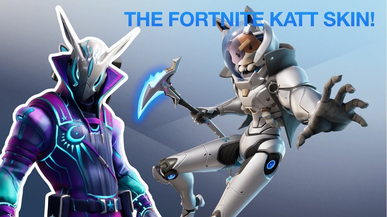 The Fortnite Katt Skin