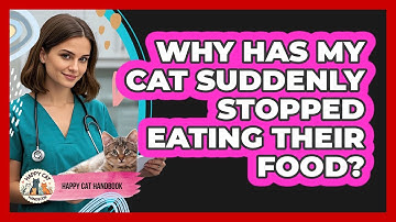 Why Has My Cat Suddenly Stopped Eating Their Food? - Happy Cat Handbook