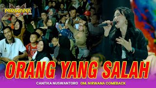 ORANG YANG SALAH - CANTIKA NUSWANTORO || NIRWANA COMEBACK LIVE MEGALUH JOMBANG