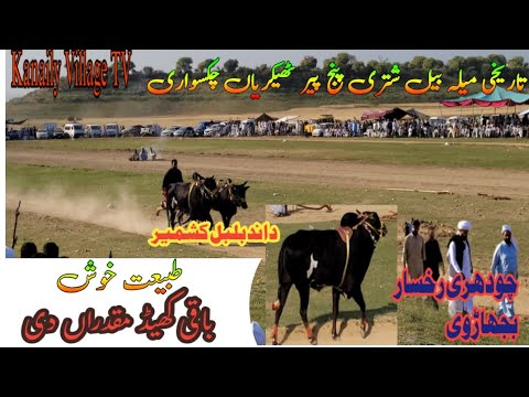 Ch Rukhsar Jogh Bulbul e kashmir ch Rukhsar Bajharhvi @ mela panjpeer Chaksawari ...