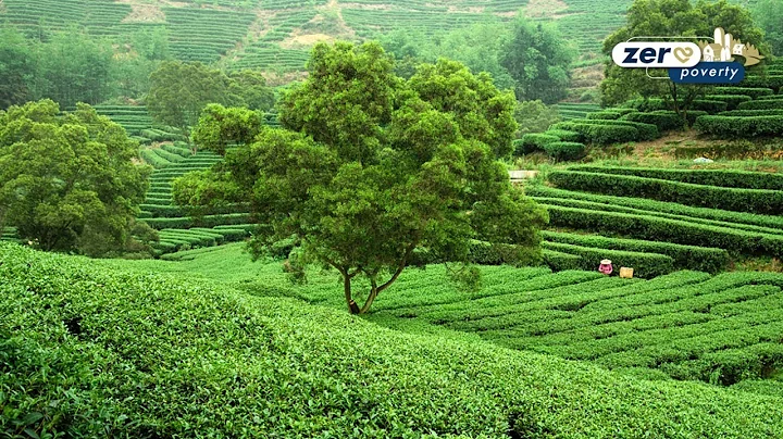 Live: How does China maintain its anti-poverty achievements? 中国如何巩固脱贫攻坚，保障脱贫不返贫