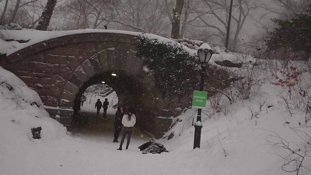 New York City Bomb Cyclone 2018 Blizzard Central Park Birds in Super